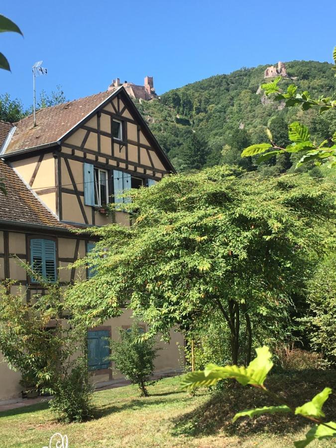 Le Gite Du Moulin 리보빌레 외부 사진