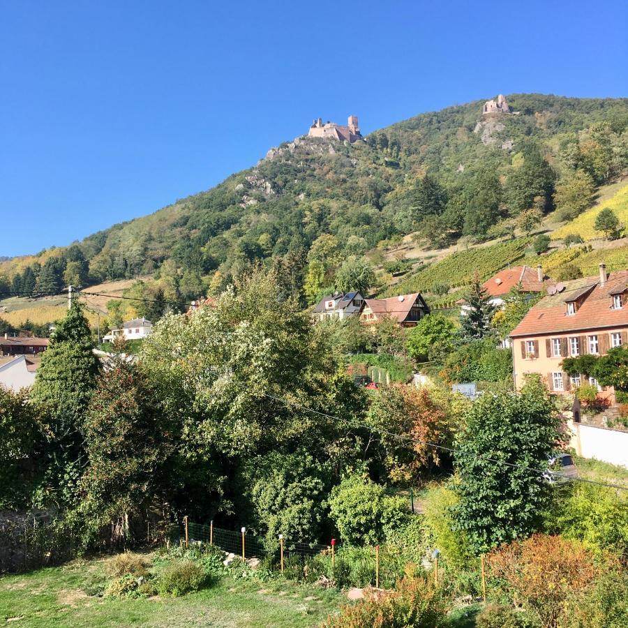 Le Gite Du Moulin 리보빌레 외부 사진